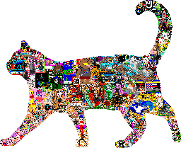 Final board of canvas 32